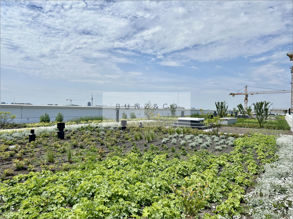 Dachterrasse für die Mieter